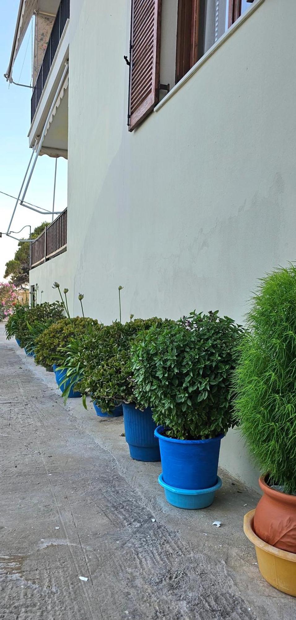 Pension Dimitra Βότση Εξωτερικό φωτογραφία